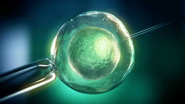 Simulation of the In Vitro fertilization. Medical loopable animation. HD
