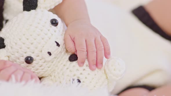 Close up hand of happy newborn baby wearing cute cow costume lying sleep hugging cow doll