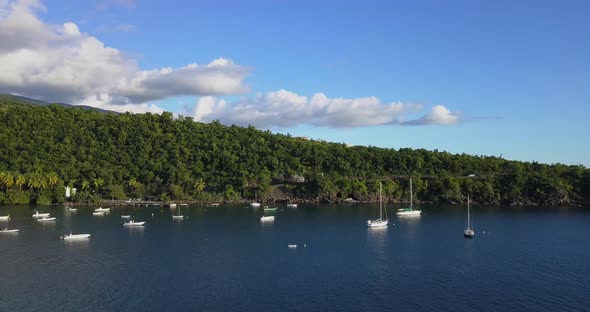 Green Lagoon In Guadeloupe