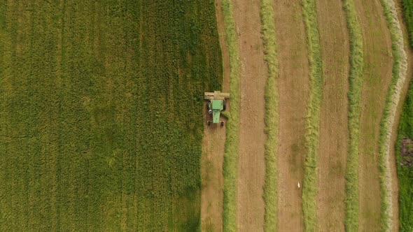 Combine harvesting Wheat for silage, Aerial view