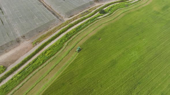 Combine harvester mowing Wheat, Aerial view