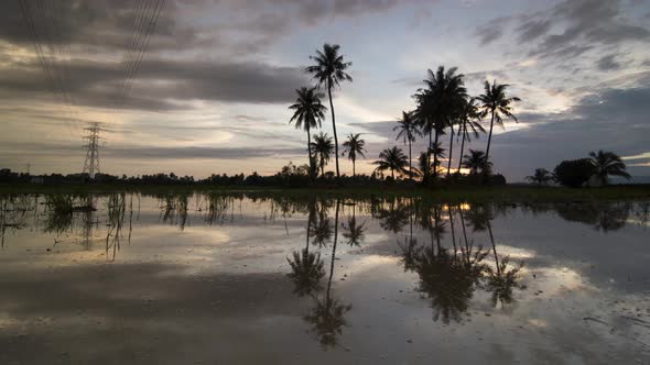 Timelapse sunset over coconut trees planted