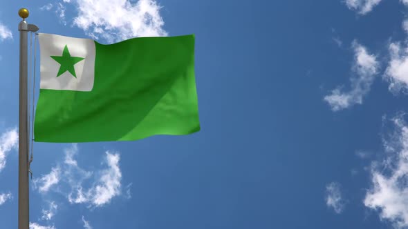 Esperanto Flag On Flagpole