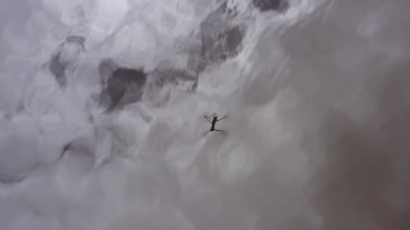 Small drone and overcast sky are reflected in low aerial over water