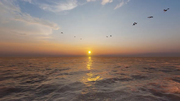 Birds Ocean Sunset