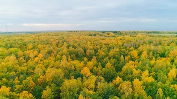 Aerial Video of Autumn Forest on a Cloudy Day