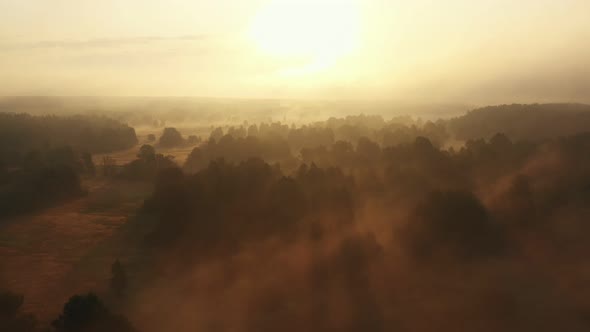 Drone Flying Backwards Over Amazing Forest Valley and Small River Under Thick Fog on Epic Hazy