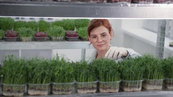 Young Beautiful Businesswoman Caring for Micro Green Sprouts in Containers and Spraying Water From