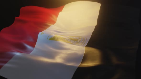 Egypt Flag Low Angle View