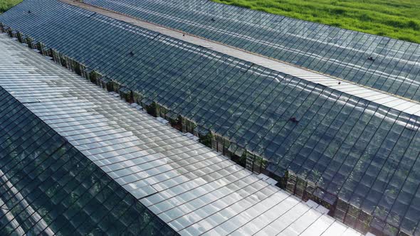 Drone Flying Over a Big Glasshouse with Natural Organic Plants