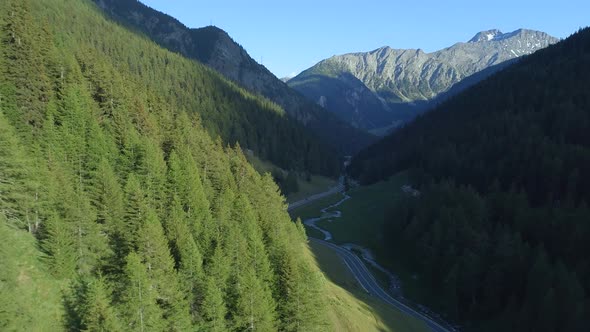 Mountain Pass Covered in Pine Trees During the Summer