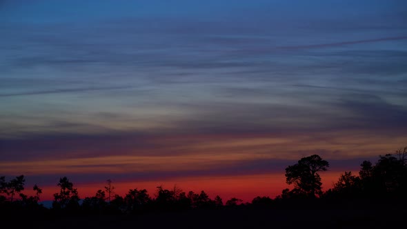 celestial horizon timelapse of the morning sky against a background of coniferous forest alt