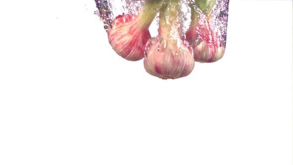 Super Slow Motion of the Head of Garlic Fall Under the Water on a White Background