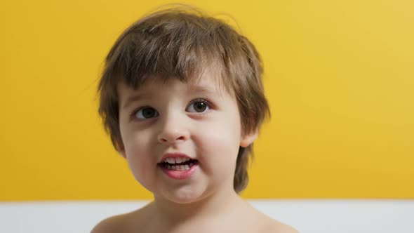Portrait of a Two Year Old Boy with Shoulders Who Smiles