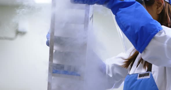 Scientist removing vertical freezer rack from freezer