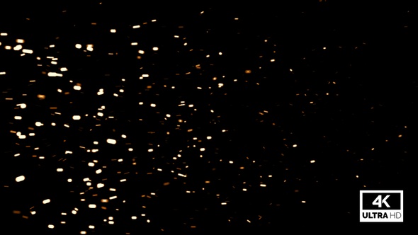 Flying Golden Particles Isolated On Black Background Looped V2