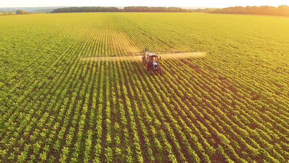 Aerial View of Farming Tractor Spraying on Field with Sprayer Herbicides and Pesticides at Sunset