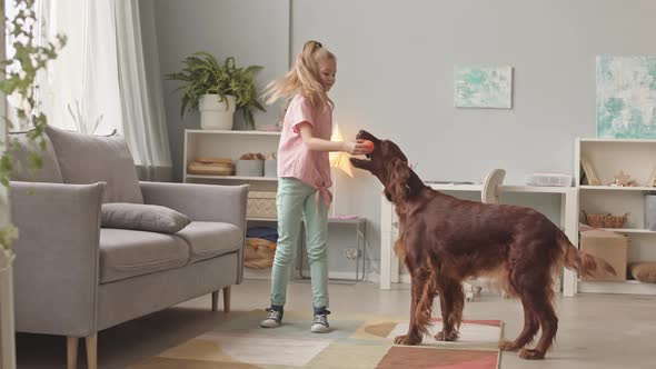 Girl and Dog Playing with Ball at Home