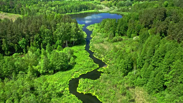 Lake in the forest in summer. Aerial view of Poland