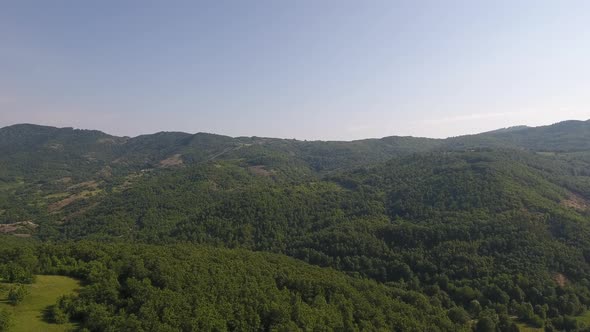 Forest Mountain At Sunrise