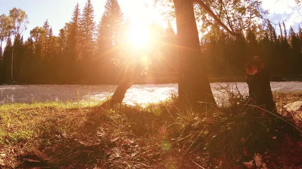 Meadow at Mountain River Bank. Landscape with Green Grass, Pine Trees and Sun Rays. Movement