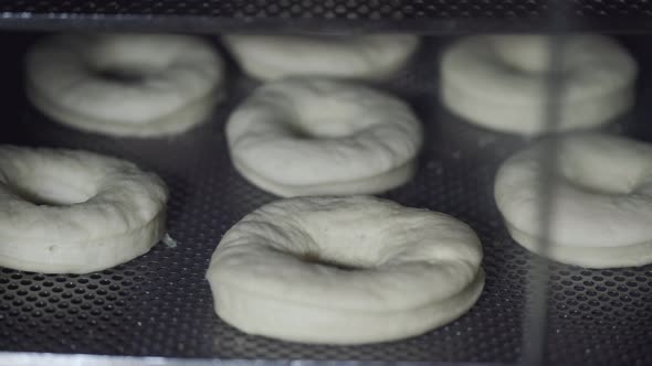 The Yeast Dough Is Growing in a Fridge