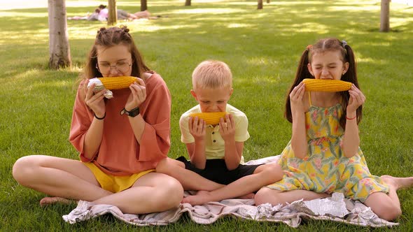 Three Children Eat Boiled Corn in the Park in Summer Sitting on the Green Grass