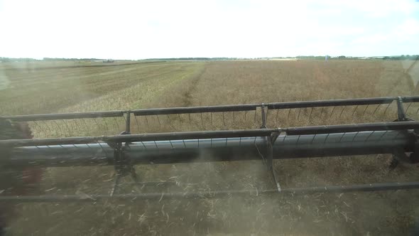 Red Harvester Reaps Ripe Rapeseed