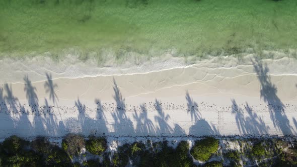 Beach on Zanzibar Island Tanzania Africa