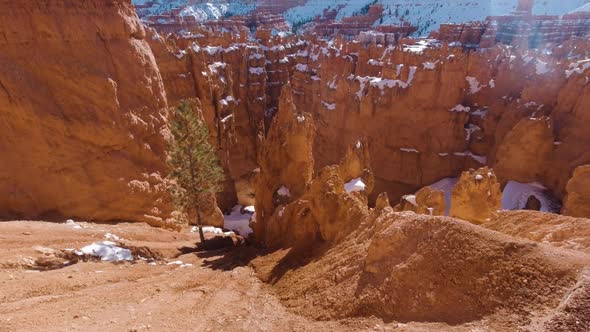 Bryce Canyon in Winter. Wall Street. Utah, USA