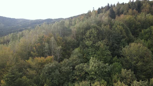 Aerial View of the Carpathian Mountains in Autumn. Ukraine