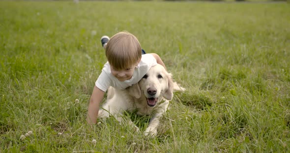 Little Boy Playing with Golden Retriever Dog