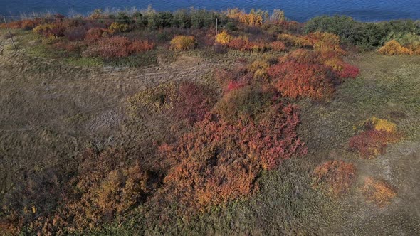 Revealing 4k drone footage of Buffalo lake in the countryside of Alberta. Gimbal upement while slowl