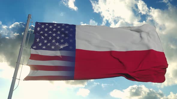 Flag of USA and Texas State