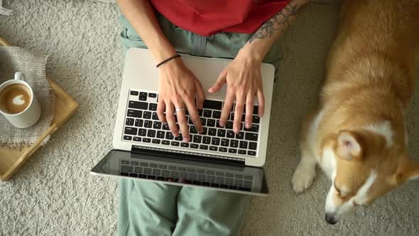 Top View of Young Woman Typing and Sitting on Floor Near to Dog in Apartment Room Avki