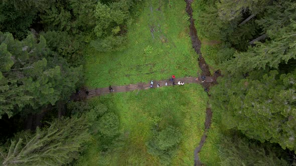 Overhead Top View of People Walking By Trail Road