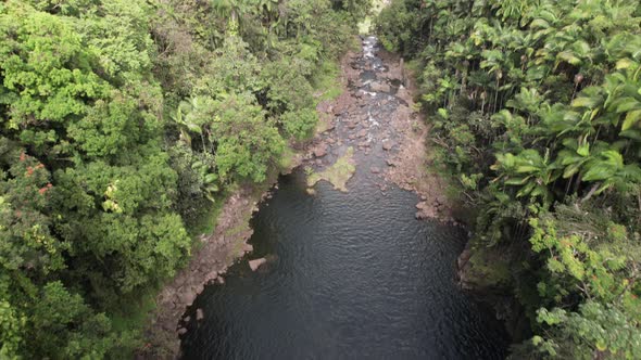 Aerial pan up following river flowing through Hawaiian jungle to Pacific Ocean.