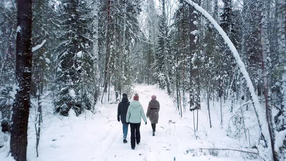 Guys Walk Through Snowdrifts Along Winter Forest