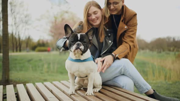 Female Lesbian Couple Sitting on Bench and Petting French Bulldog in Park