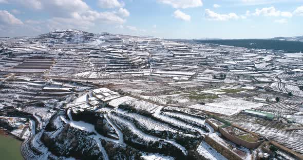 Aerial view of a dry vineyard in the snow, Golan Heights, Israel.