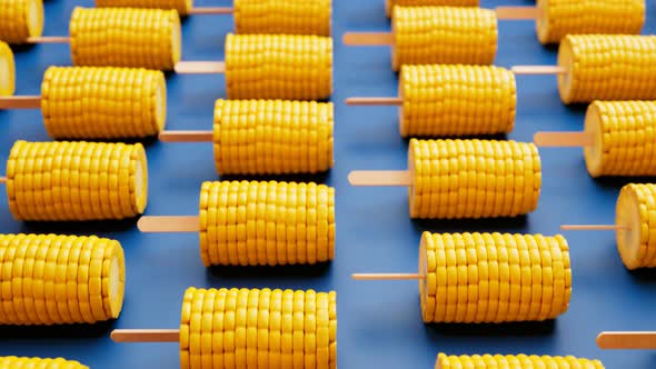 Animation of corns on the cobs. Boiled sweetcorn on wooden skewers. Vegetables.