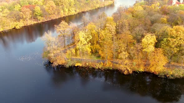 Aerial top down view of autumn forest with green and yellow trees. Mixed deciduous and coniferous fo