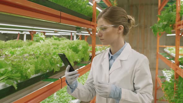 Female Botanist With Smartphone At Vertical Farm