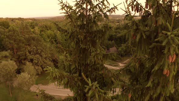 Aerial View of Small Ancient Village Amoung Wild Forest