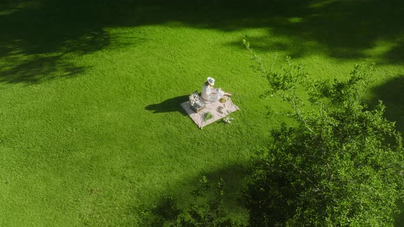 Woman Tourist Sits on Picnic Blanket Reading Book Aerial Emerald Green Lawn