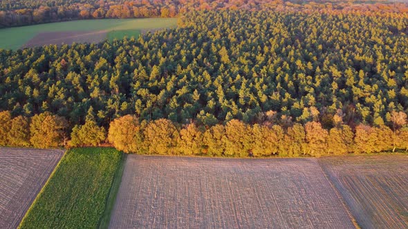 Aerial view of cropland and forest in autumn, Munningsbos, Limburg, Netherlands.