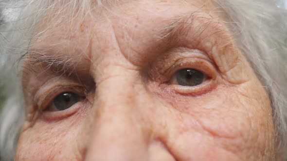 Portrait of Old Grandmother Looking at Camera. Close Up Eyes of an Elderly Woman with Wrinkles