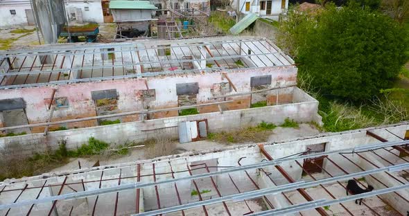 Old Abandoned Buildings of a Livestock Farm