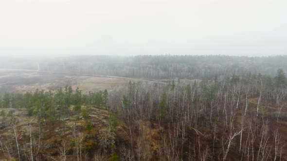 Drone camera approaching a road through a field in a forest under heavy fog in Manitoba, Canada