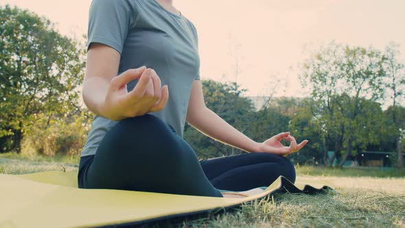 Close up of meditation in the park at sunrise.